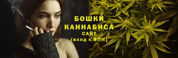 индика Приозерск
