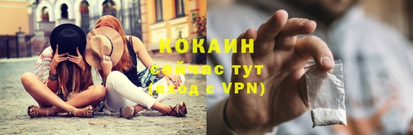 шишки Протвино