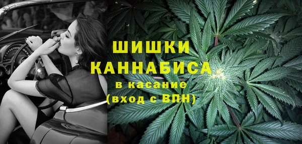 индика Приозерск