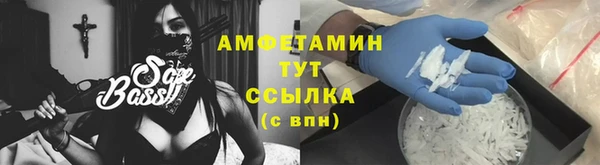 индика Приозерск