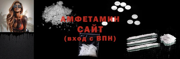 индика Приозерск