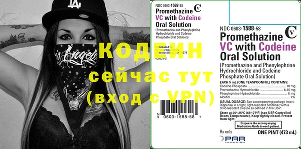 индика Приозерск