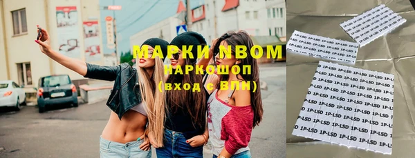 индика Приозерск