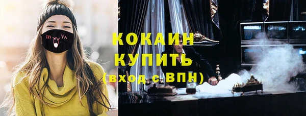 индика Приозерск